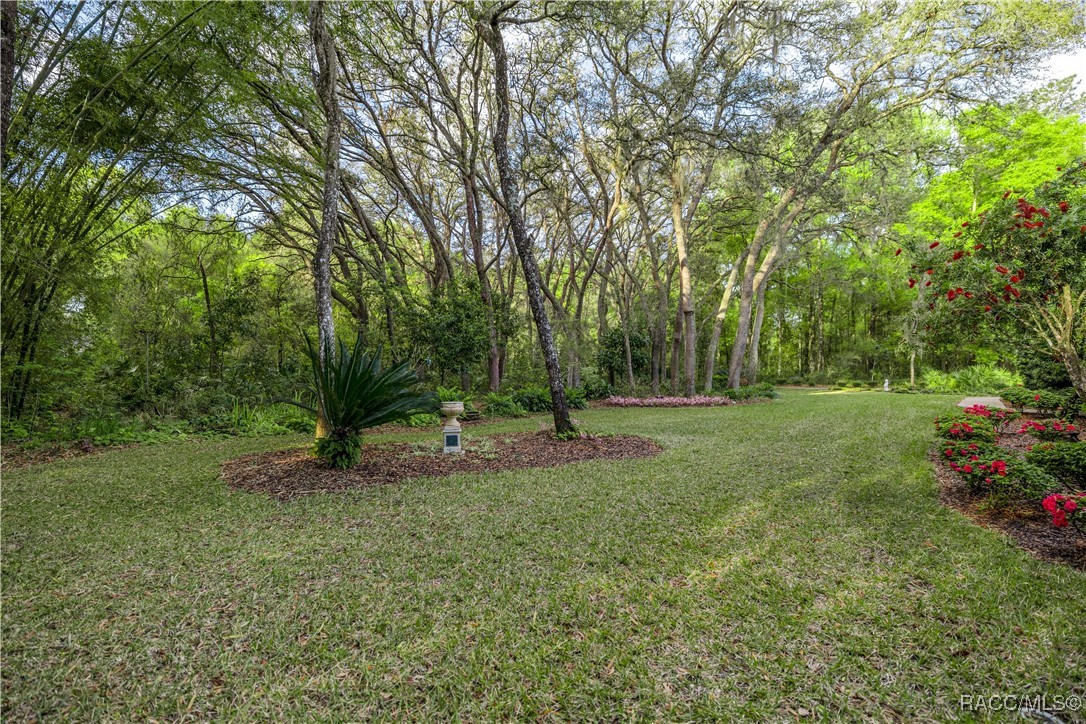 5889 NE 43rd Lane Road, Silver Springs, Florida image 37