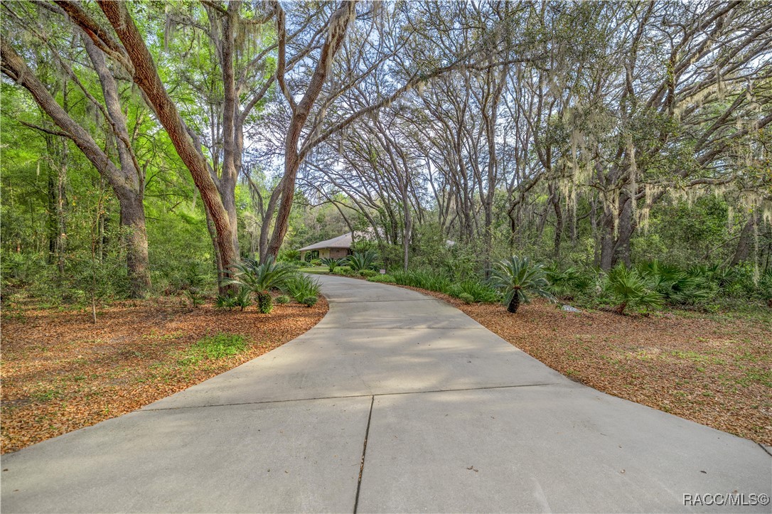 5889 NE 43rd Lane Road, Silver Springs, Florida image 7
