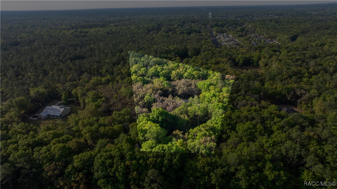 5889 NE 43rd Lane Road, Silver Springs, Florida image 43