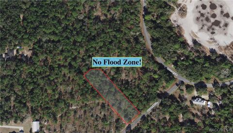 Vacant Land For Sale - 10631 W Dunderry Place<br/> Crystal River, FL 34428