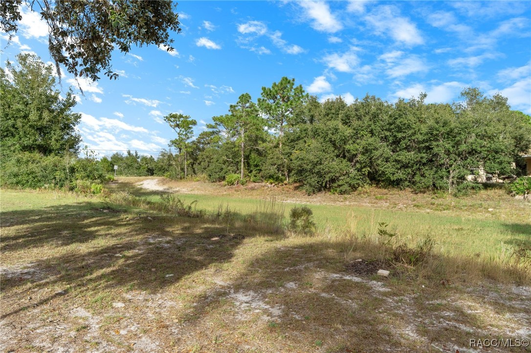 11004 Carnes Street, Weeki Wachee, Florida image 40