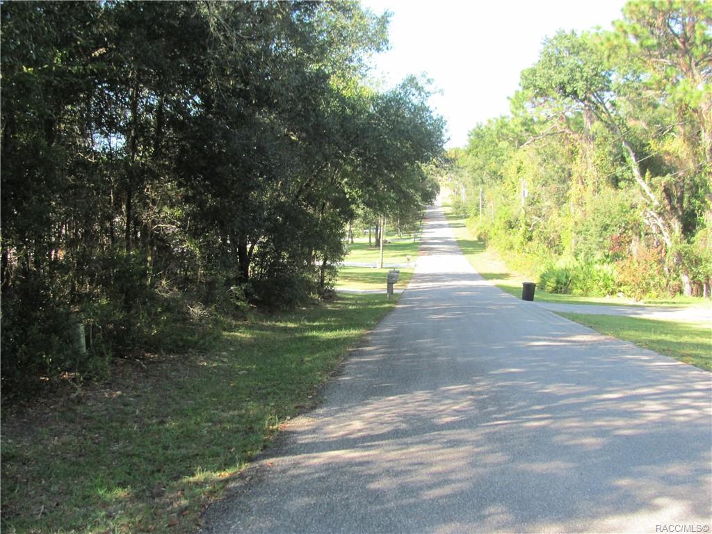 1264 E Getty Lane, Hernando, Florida image 3