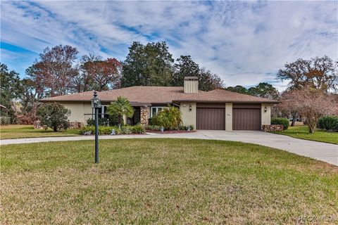 A home in Homosassa