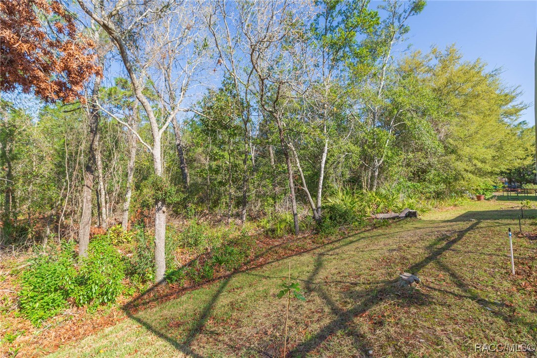 31 Colonial Road, White Plains, New York image 49