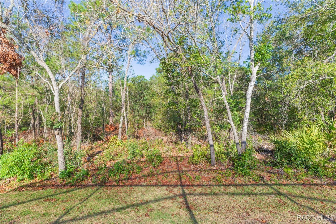 31 Colonial Road, White Plains, New York image 48