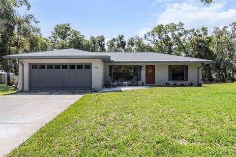 1009 S Maplenut Way Inverness FL 34450