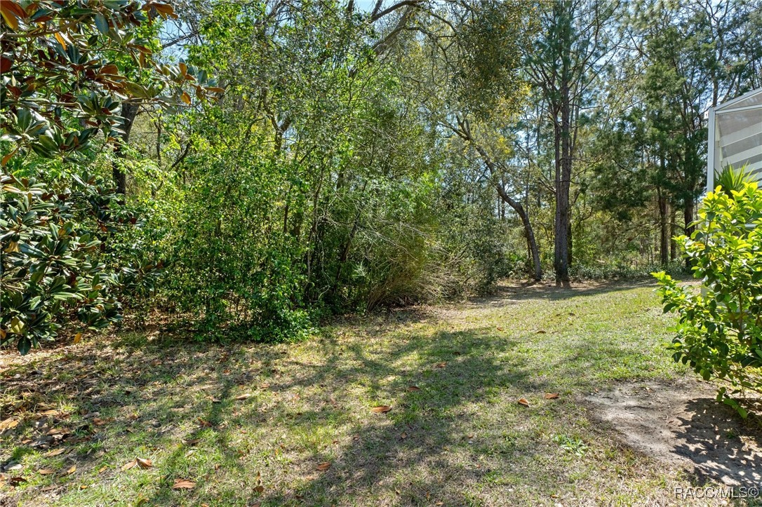 155 Pine Street, Homosassa, New York image 44