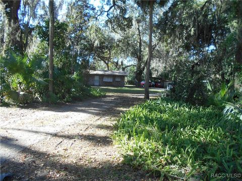 A home in Lake Panasoffkee