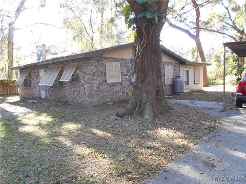 A home in Lake Panasoffkee