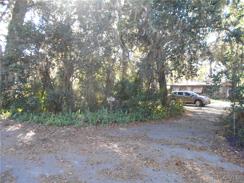 3752 Cr 406 A, Lake Panasoffkee, Florida image 24