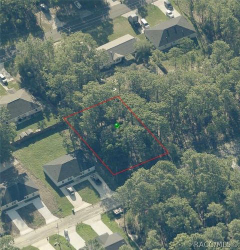 Vacant Land For Sale - 9169 N Peachtree Way<br/> Citrus Springs, FL 34434