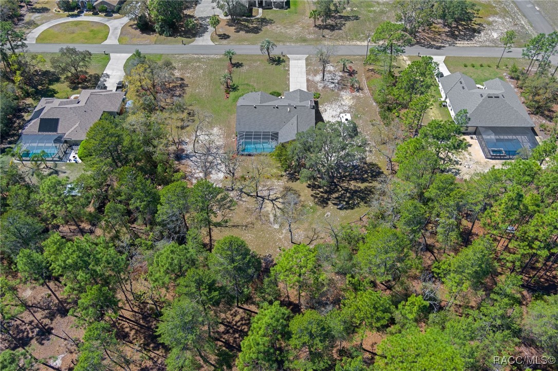 5557 N Sierra Terrace, Beverly Hills, Florida image 6