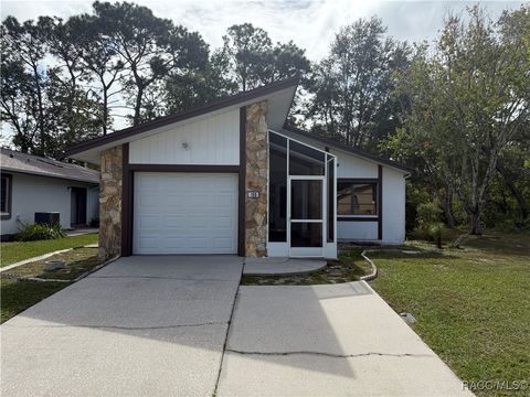 100 Chinaberry Circle Homosassa FL 34446