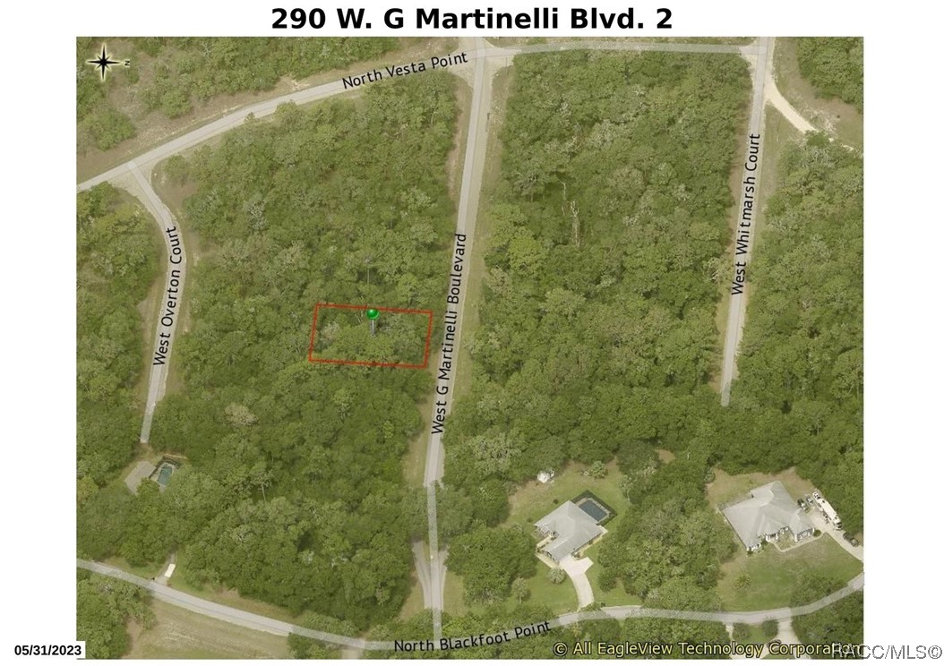 290 W G Martinelli Boulevard, Citrus Springs, Florida image 2