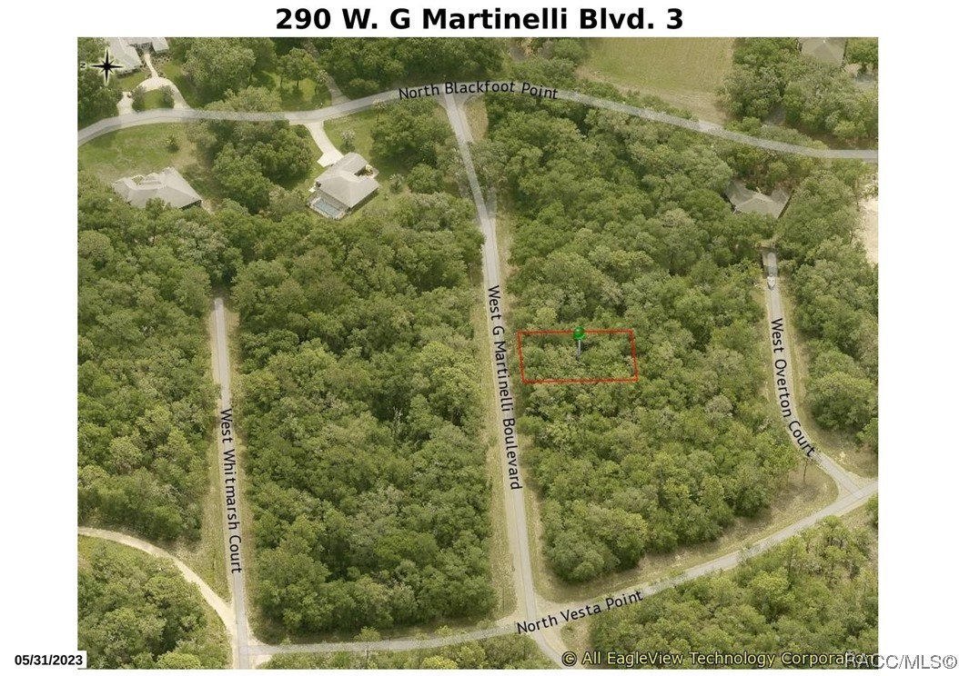 290 W G Martinelli Boulevard, Citrus Springs, Florida image 3