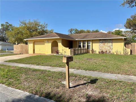 Homes For Sale - 1705 Cosmos Drive<br/> Holiday, FL 34690