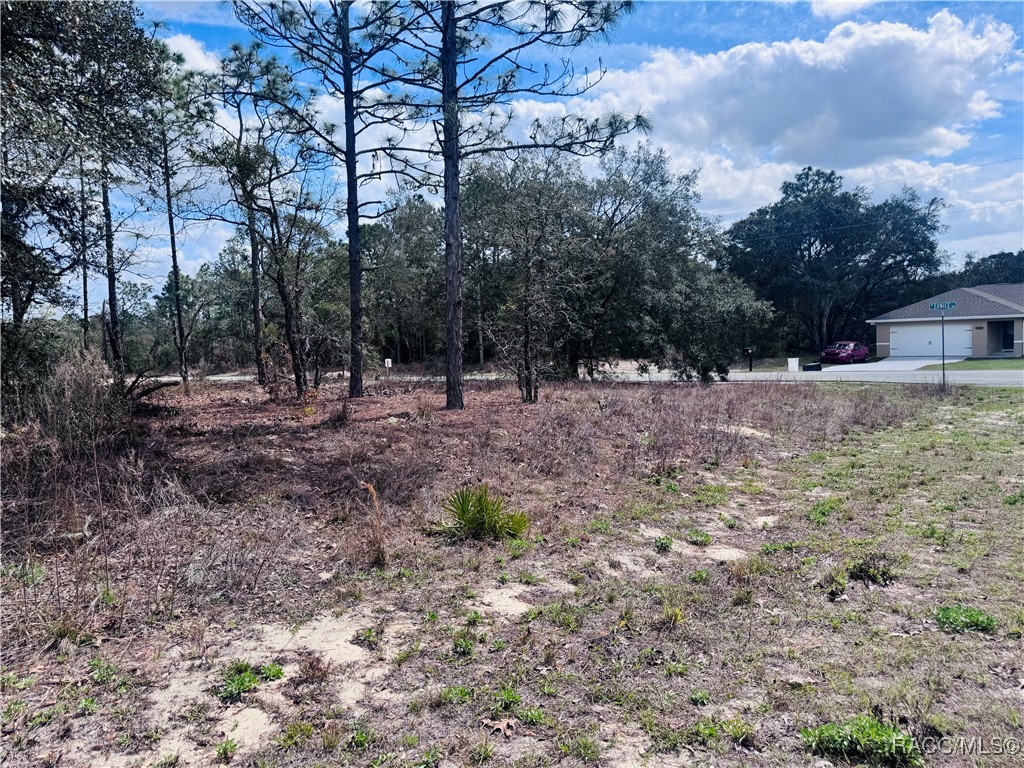 3563 W Eunice Drive, Dunnellon, New York image 11