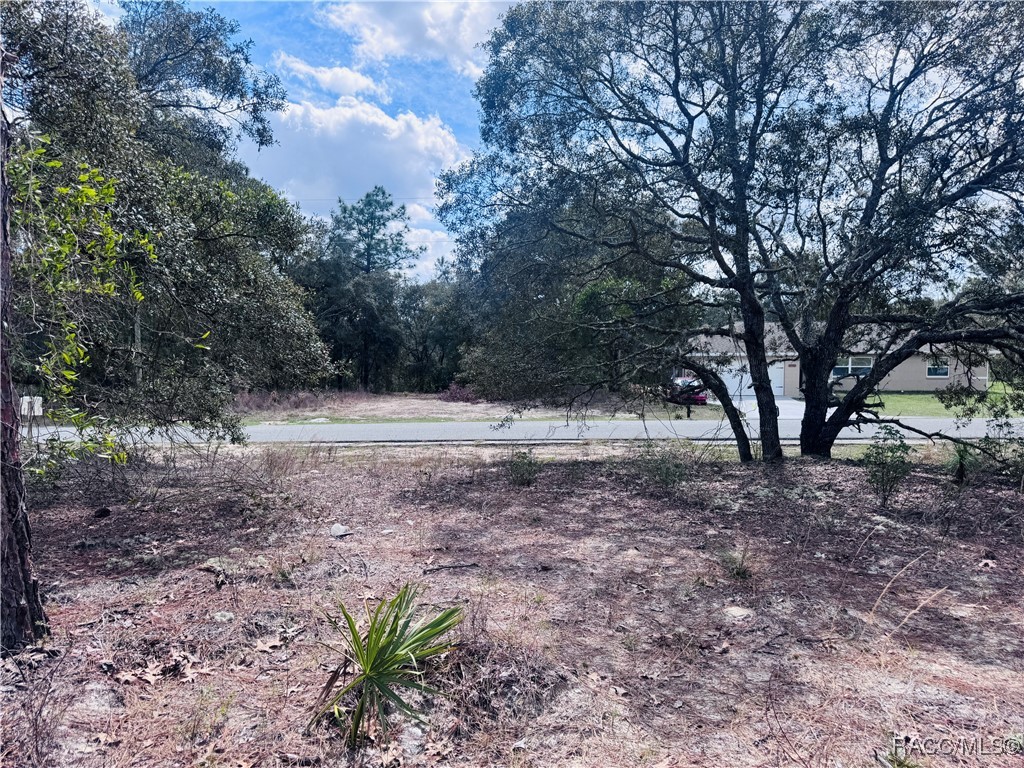 3563 W Eunice Drive, Dunnellon, New York image 10