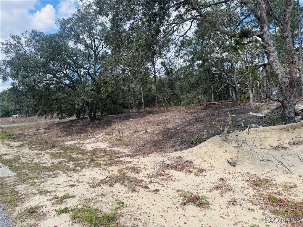 3563 W Eunice Drive, Dunnellon, New York image 8