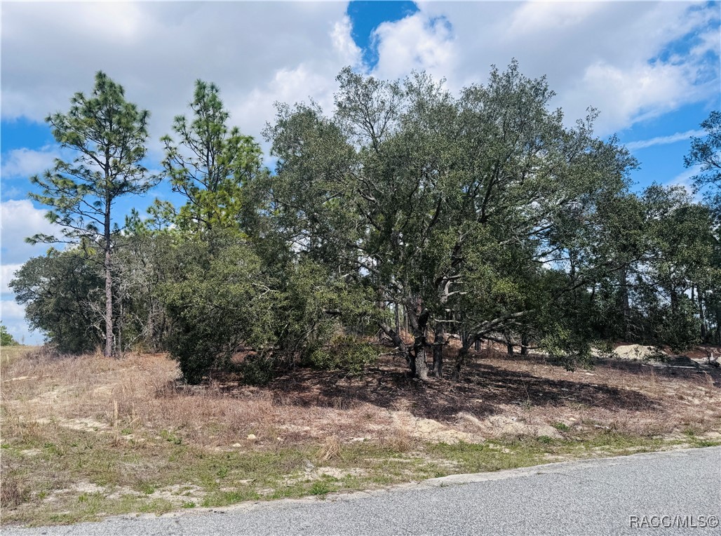 3563 W Eunice Drive, Dunnellon, New York image 7