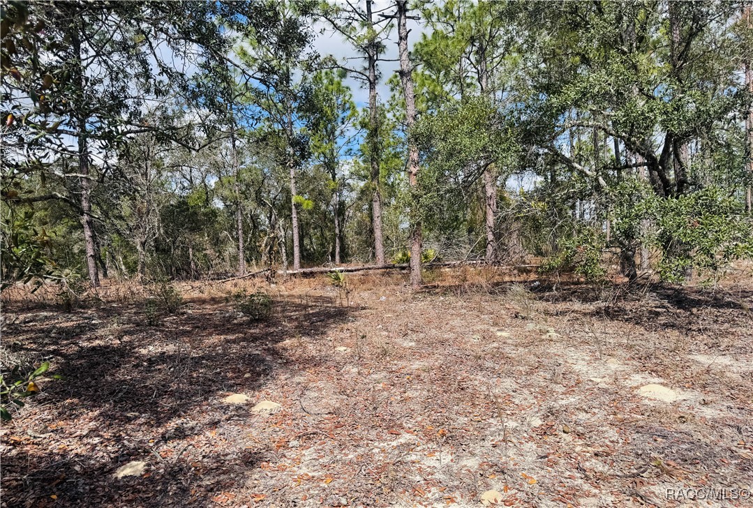 3563 W Eunice Drive, Dunnellon, New York image 9