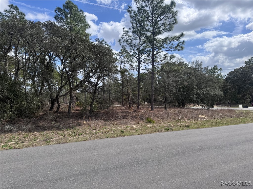 3563 W Eunice Drive, Dunnellon, New York image 13