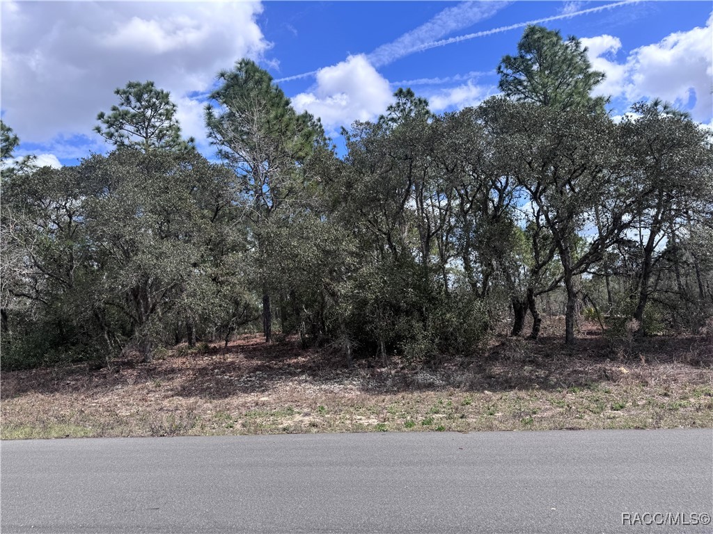 3563 W Eunice Drive, Dunnellon, New York image 14