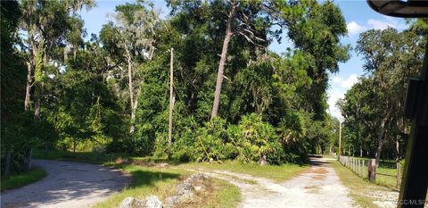 8407 S Clark Wise Terrace Floral City FL 34436