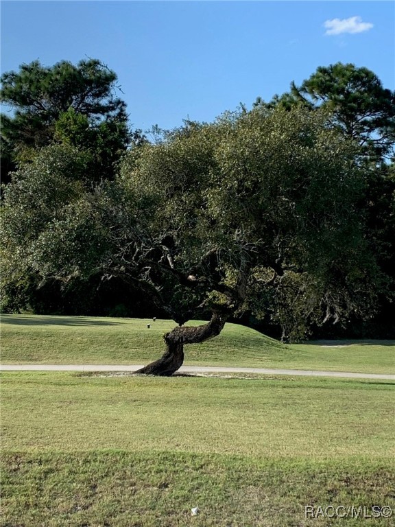 422 W Putting Green Court, Beverly Hills, Florida image 4
