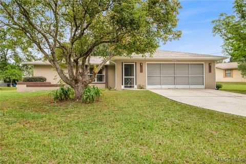 A home in Citrus Springs