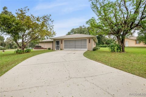 A home in Citrus Springs