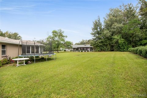 A home in Citrus Springs