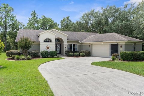 A home in Homosassa