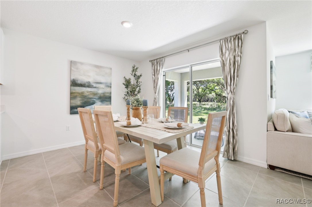 10607 N Hatari Drive, Citrus Springs, Florida image 7