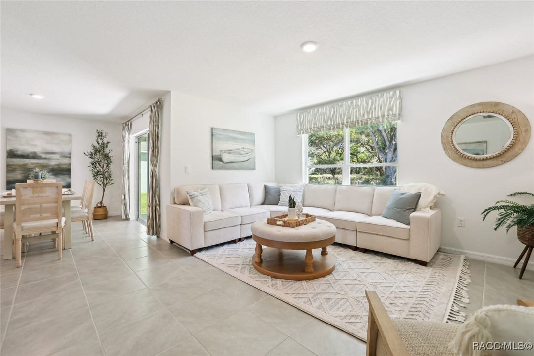 10607 N Hatari Drive, Citrus Springs, Florida image 10