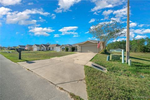 A home in Citrus Springs