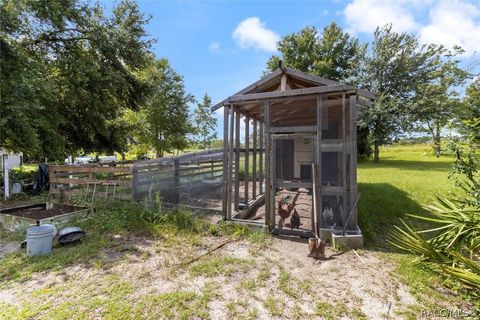 A home in Dunnellon