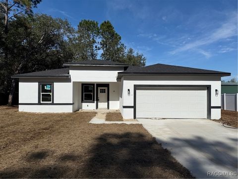 A home in Citrus Springs