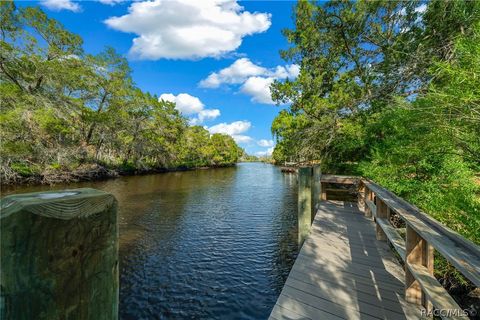 A home in Homosassa