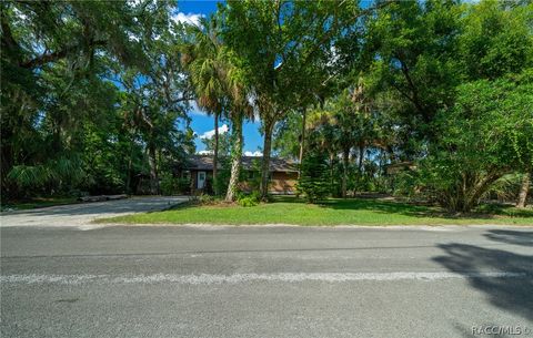 A home in Homosassa