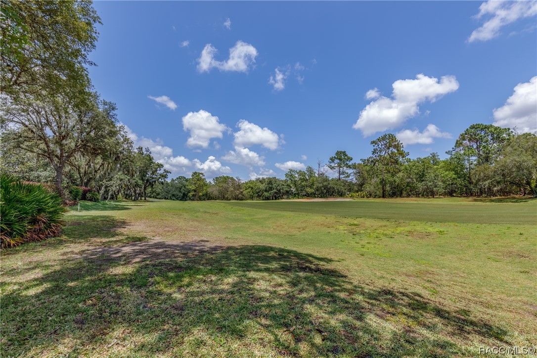 3767 N Baltusrol Path, Lecanto, Florida image 9