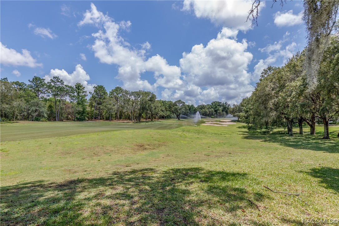 3767 N Baltusrol Path, Lecanto, Florida image 8