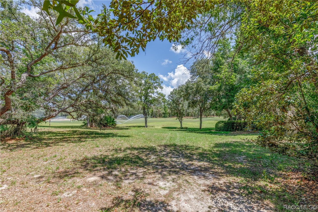 3767 N Baltusrol Path, Lecanto, Florida image 2