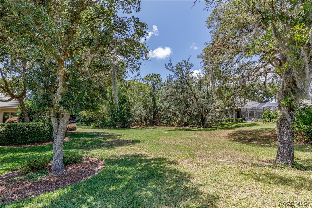 3767 N Baltusrol Path, Lecanto, Florida image 1