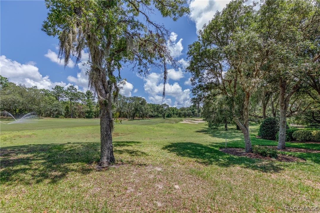 3767 N Baltusrol Path, Lecanto, Florida image 7