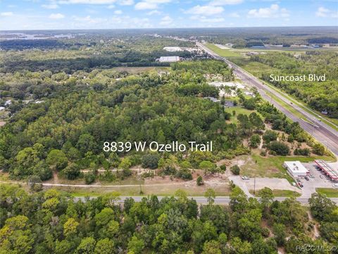 8839 W Ozello Trail Crystal River FL 34429