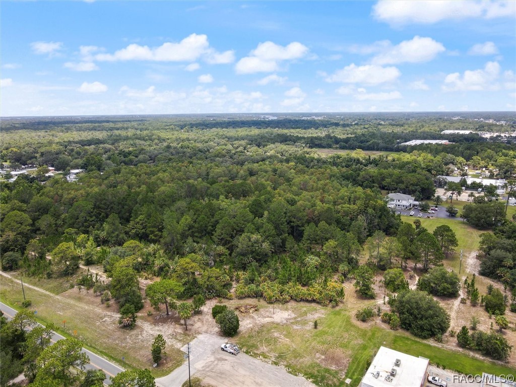 8839 W Ozello Trail, Crystal River, Florida image 4