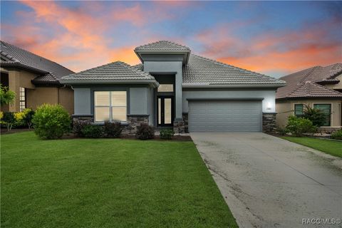 1343 W Greenmeadow Path Hernando FL 34442