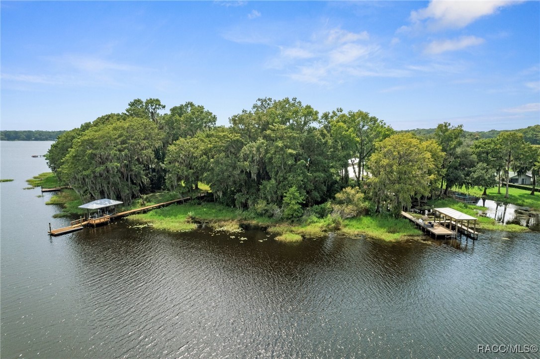 6694 S Merleing Loop, Floral City, Florida image 9