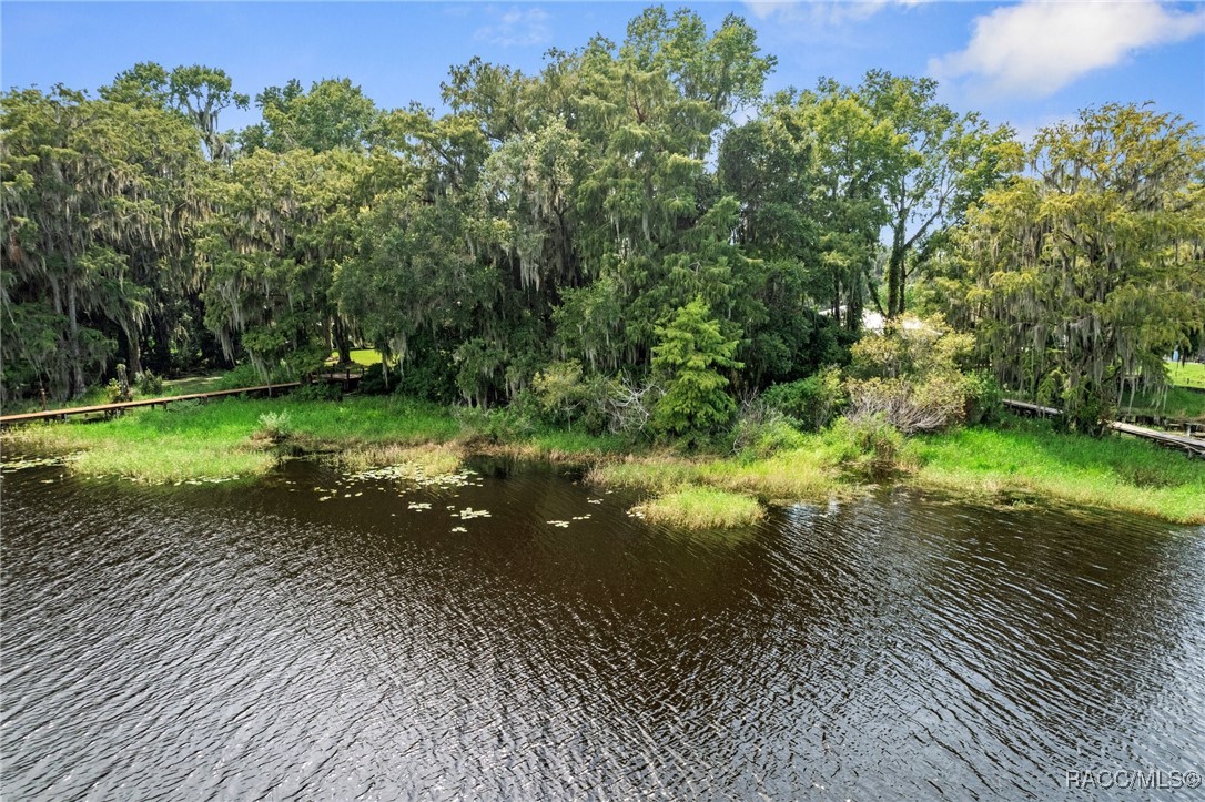 6694 S Merleing Loop, Floral City, Florida image 8